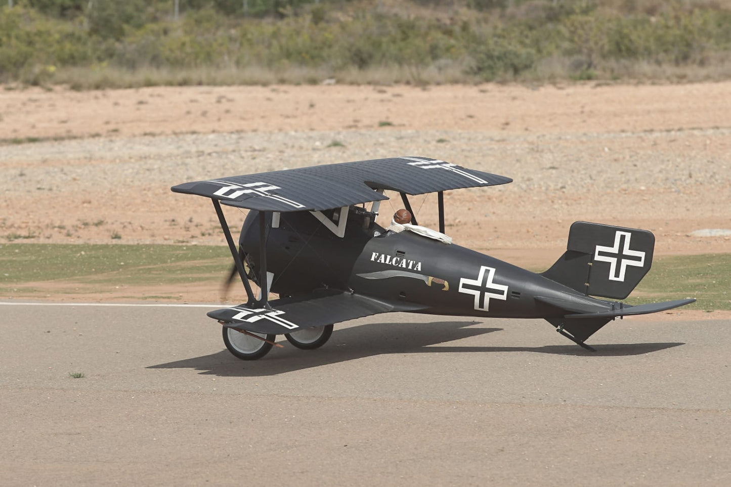 SIEMENS SCHUCKERT DIII PRO 1/4 scale