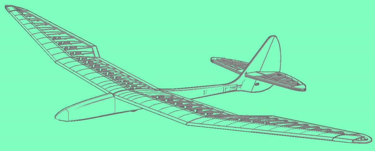 BIRD of TIME PRO 3m WINGSPAN