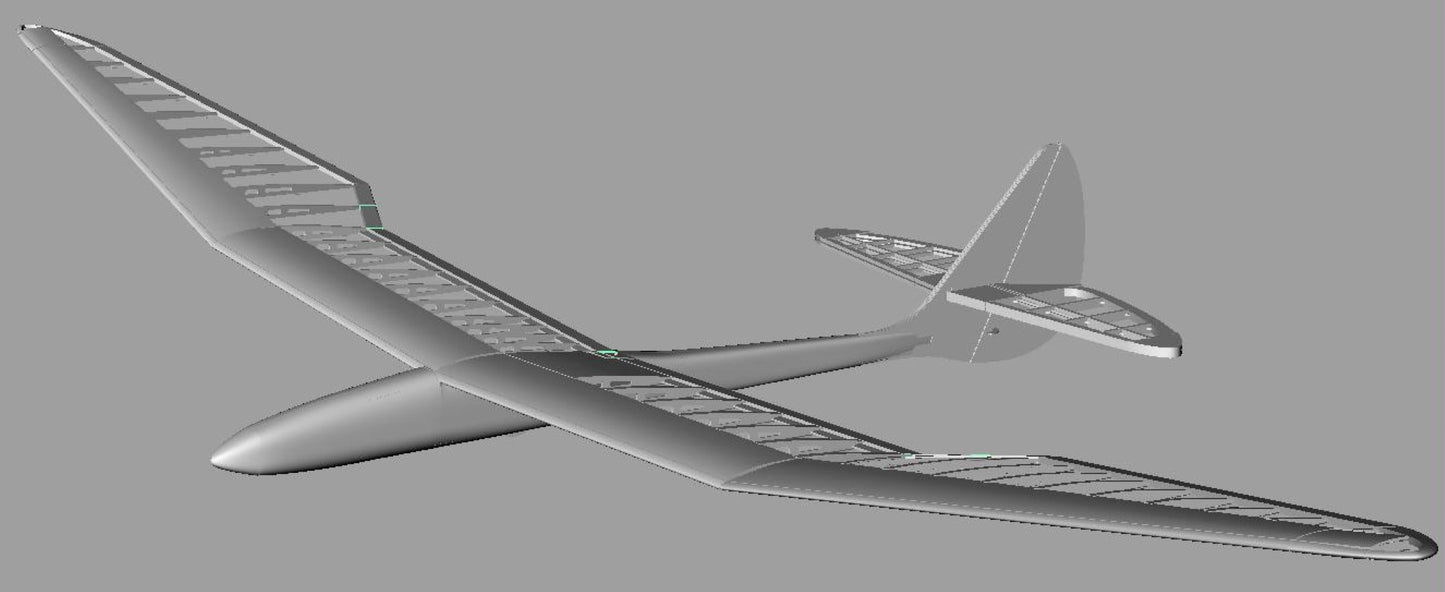 BIRD of TIME PRO 3m WINGSPAN
