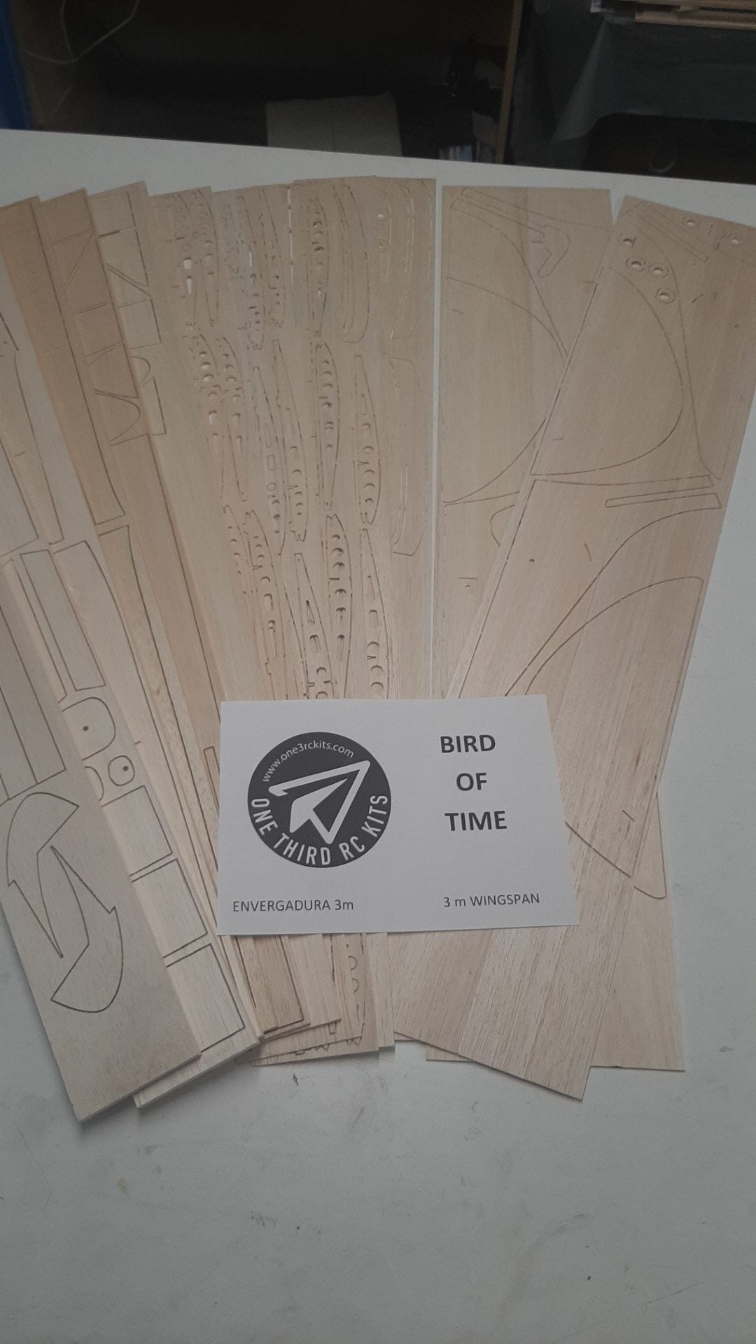BIRD of TIME PRO 3m WINGSPAN