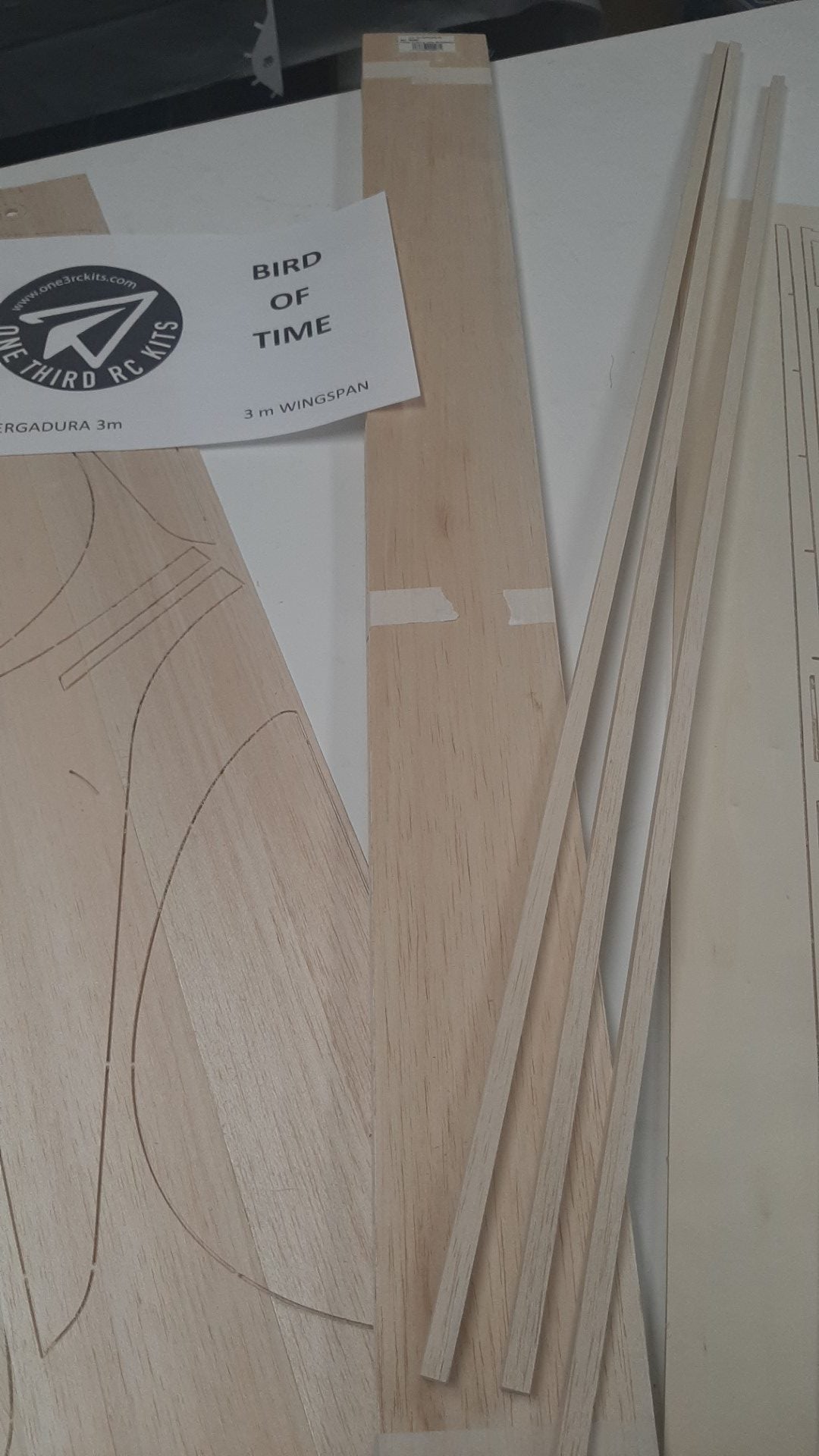 BIRD of TIME PRO 3m WINGSPAN
