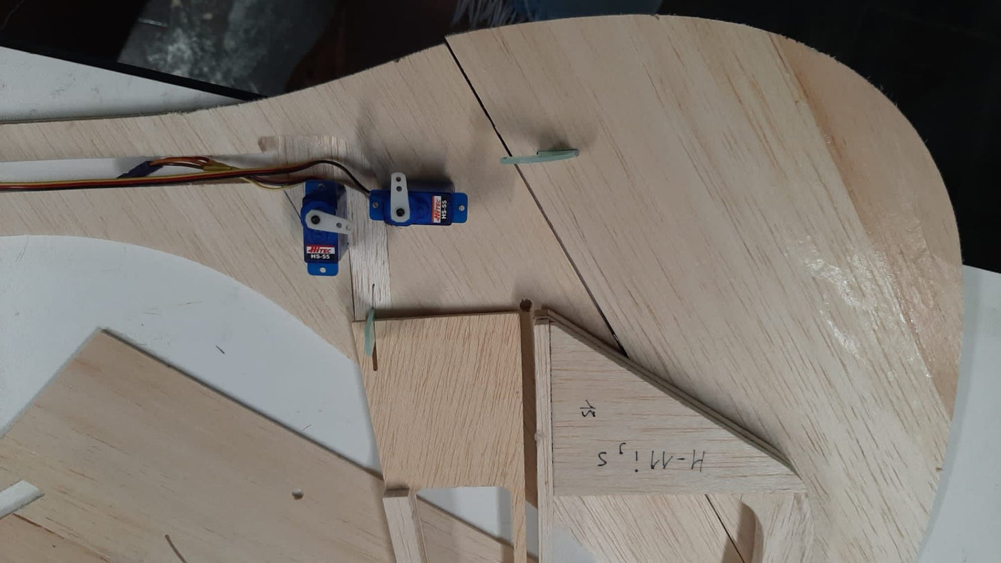 BIRD of TIME PRO 3m WINGSPAN