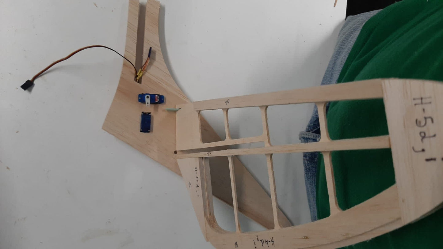 BIRD of TIME PRO 3m WINGSPAN
