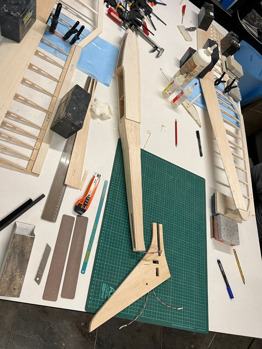 BIRD of TIME PRO 3m WINGSPAN