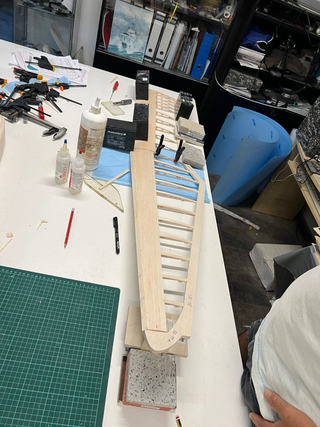 BIRD of TIME PRO 3m WINGSPAN
