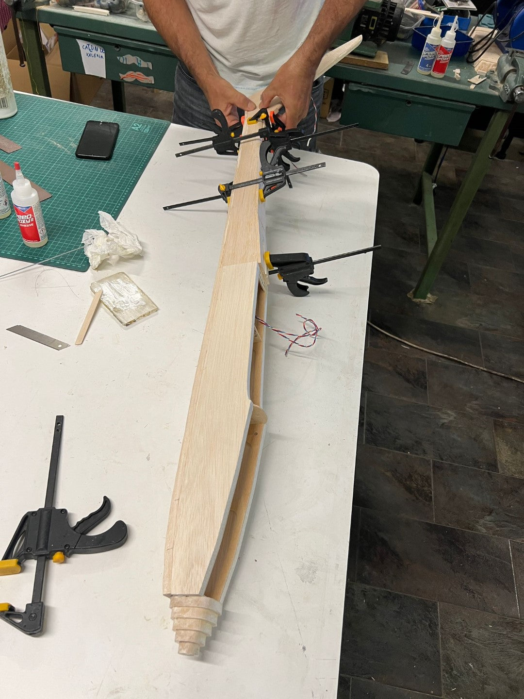 BIRD of TIME PRO 3m WINGSPAN