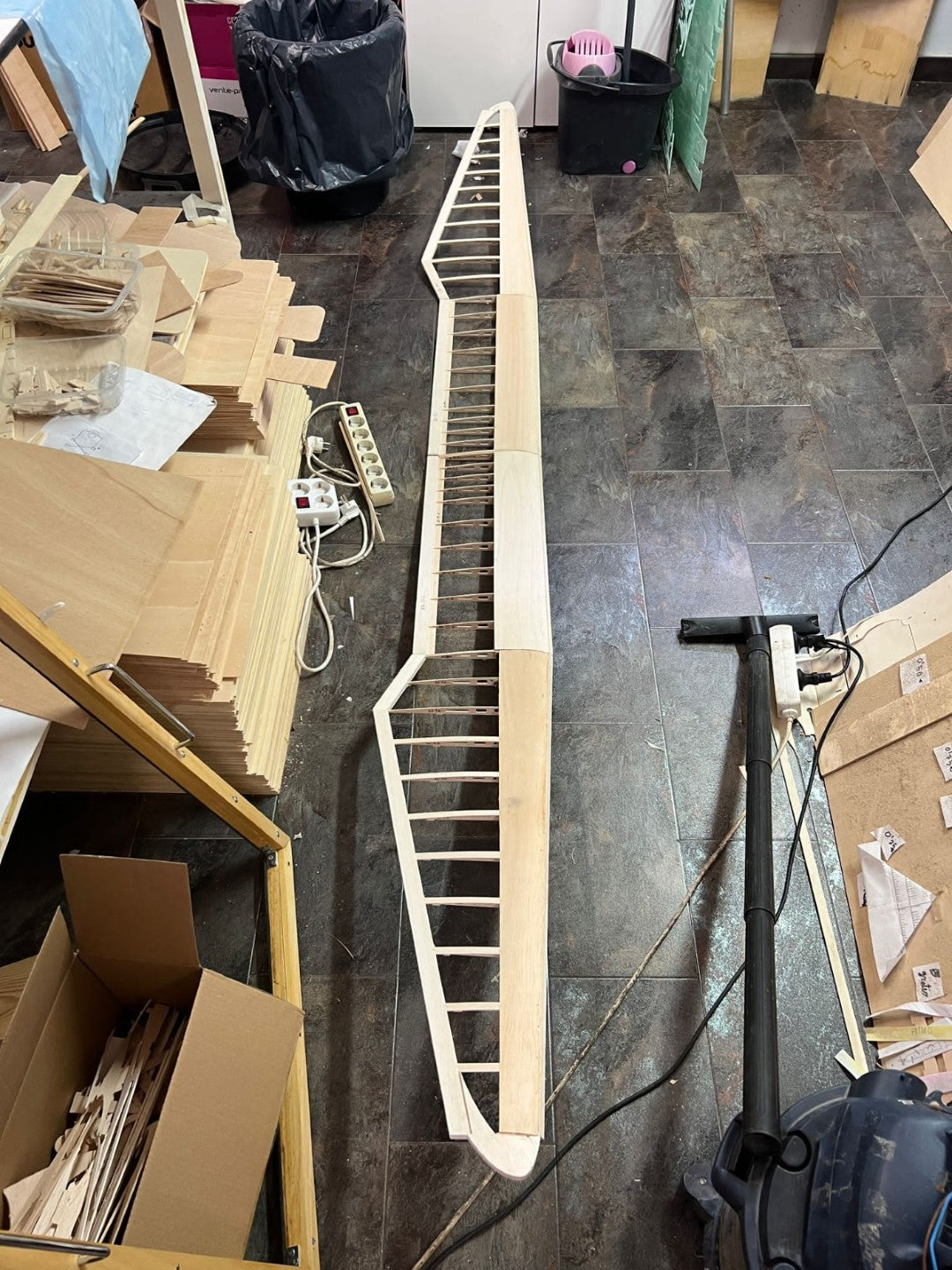 BIRD of TIME PRO 3m WINGSPAN