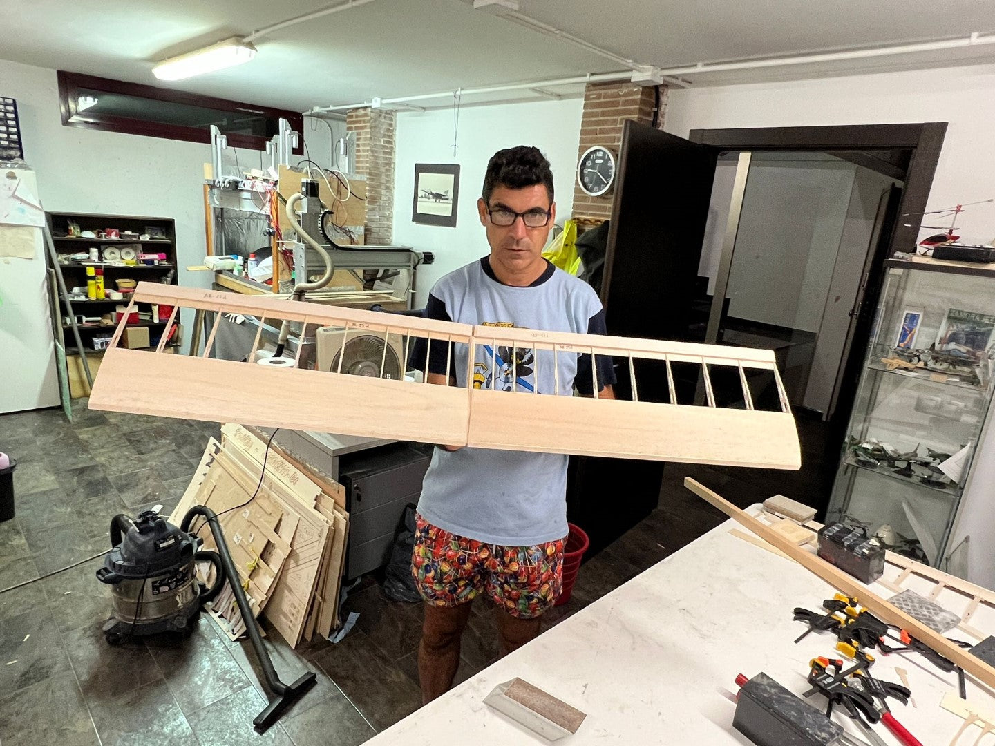 BIRD of TIME PRO 3m WINGSPAN