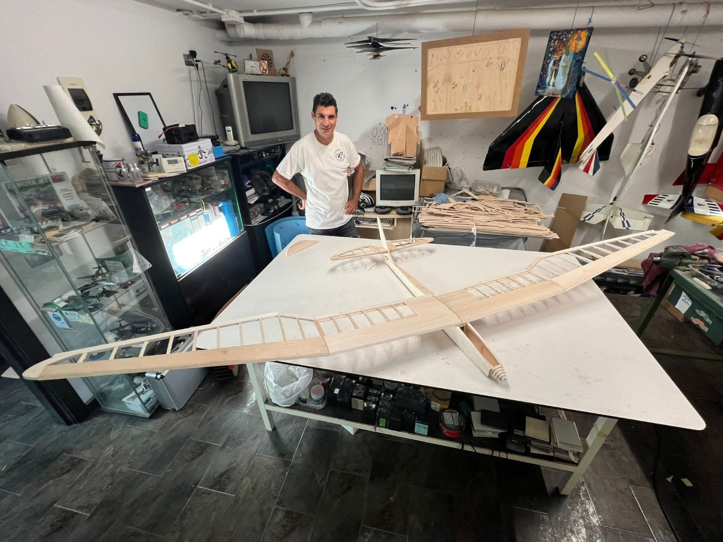 BIRD of TIME PRO 3m WINGSPAN