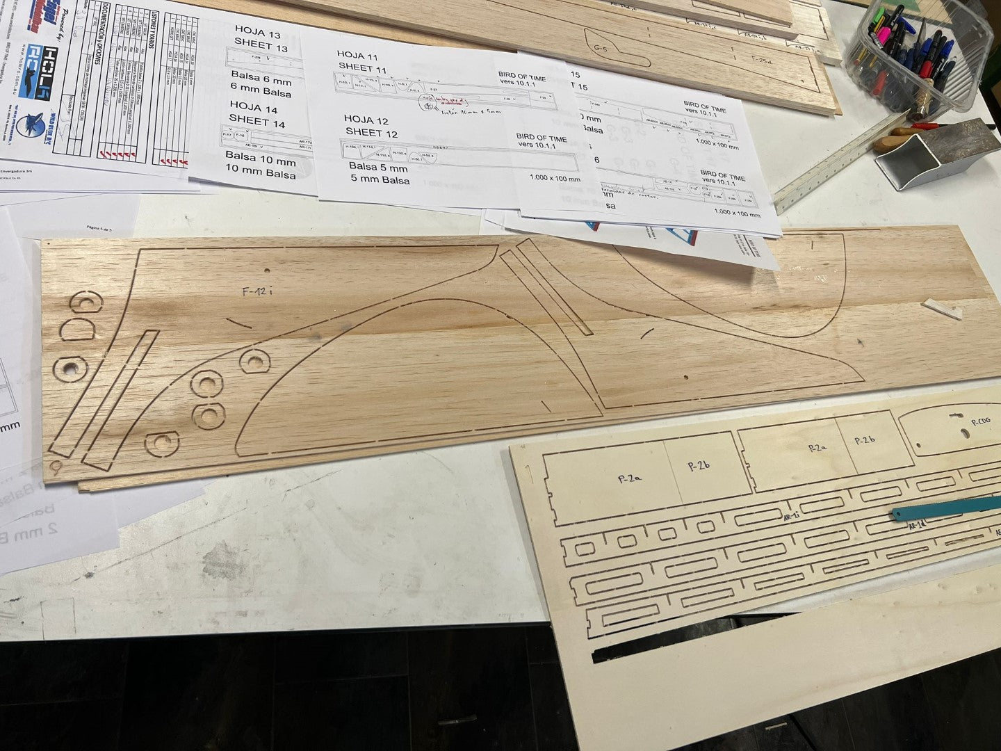 BIRD of TIME PRO 3m WINGSPAN