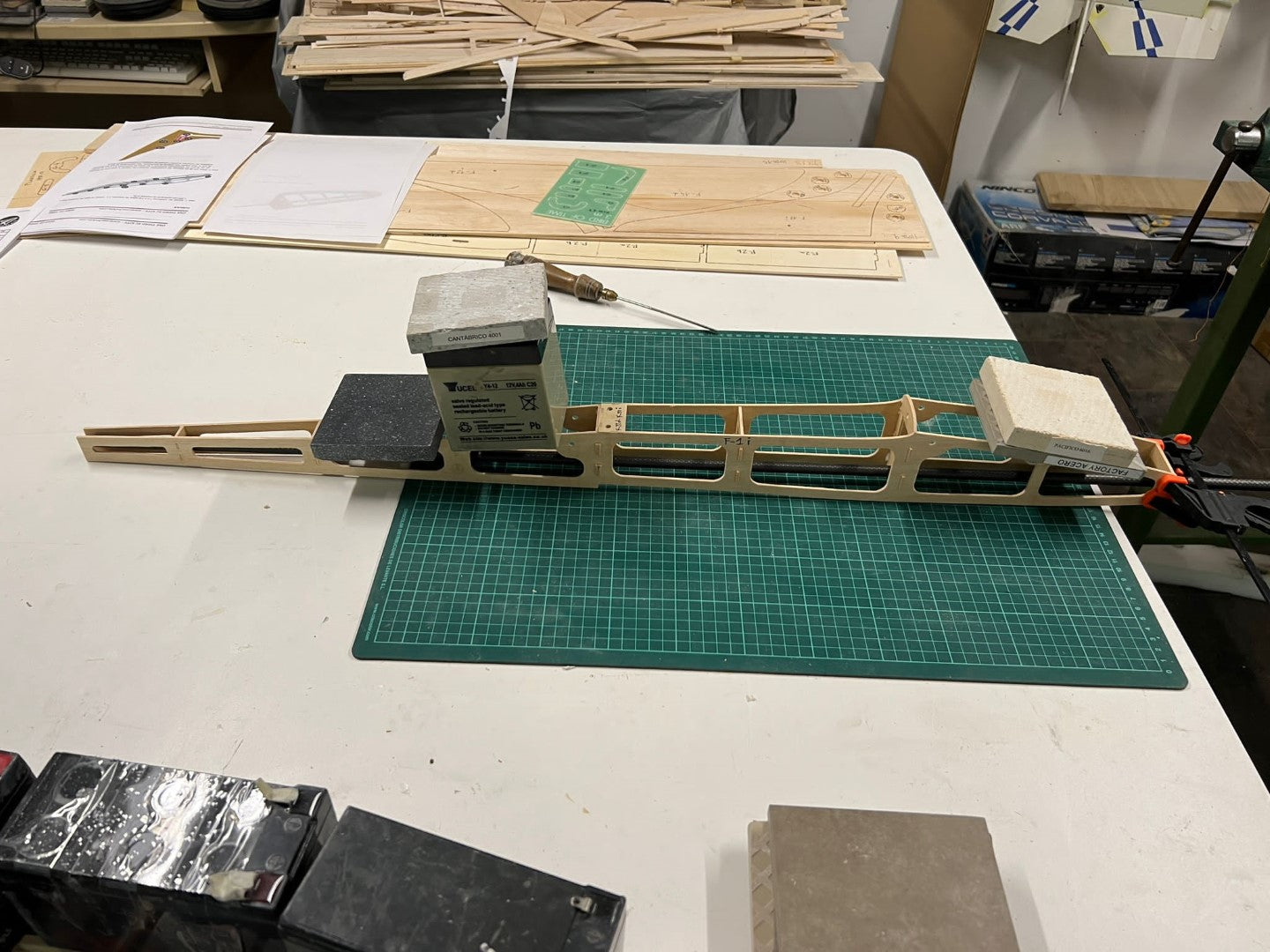 BIRD of TIME PRO 3m WINGSPAN