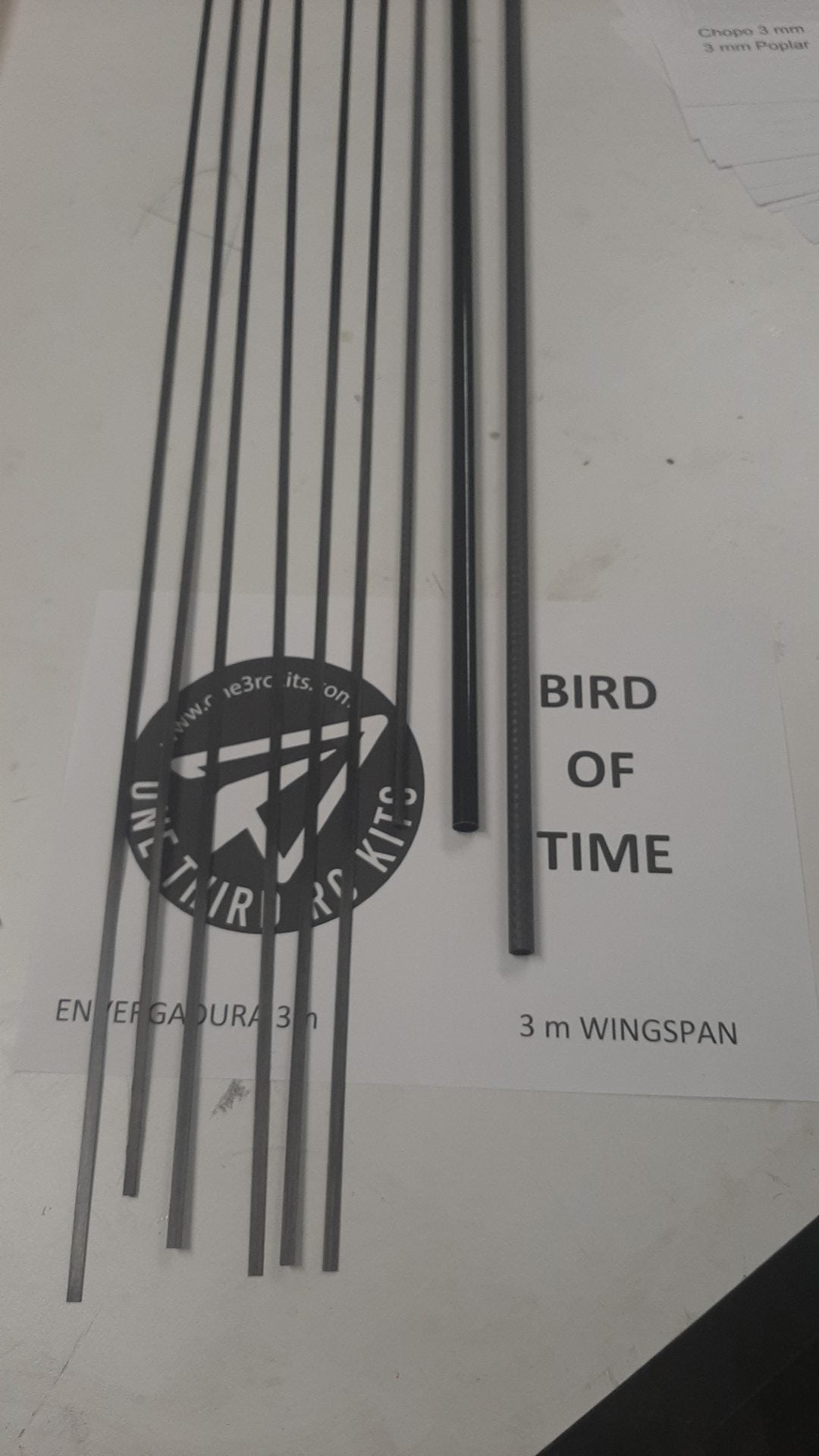 BIRD of TIME PRO 3m WINGSPAN