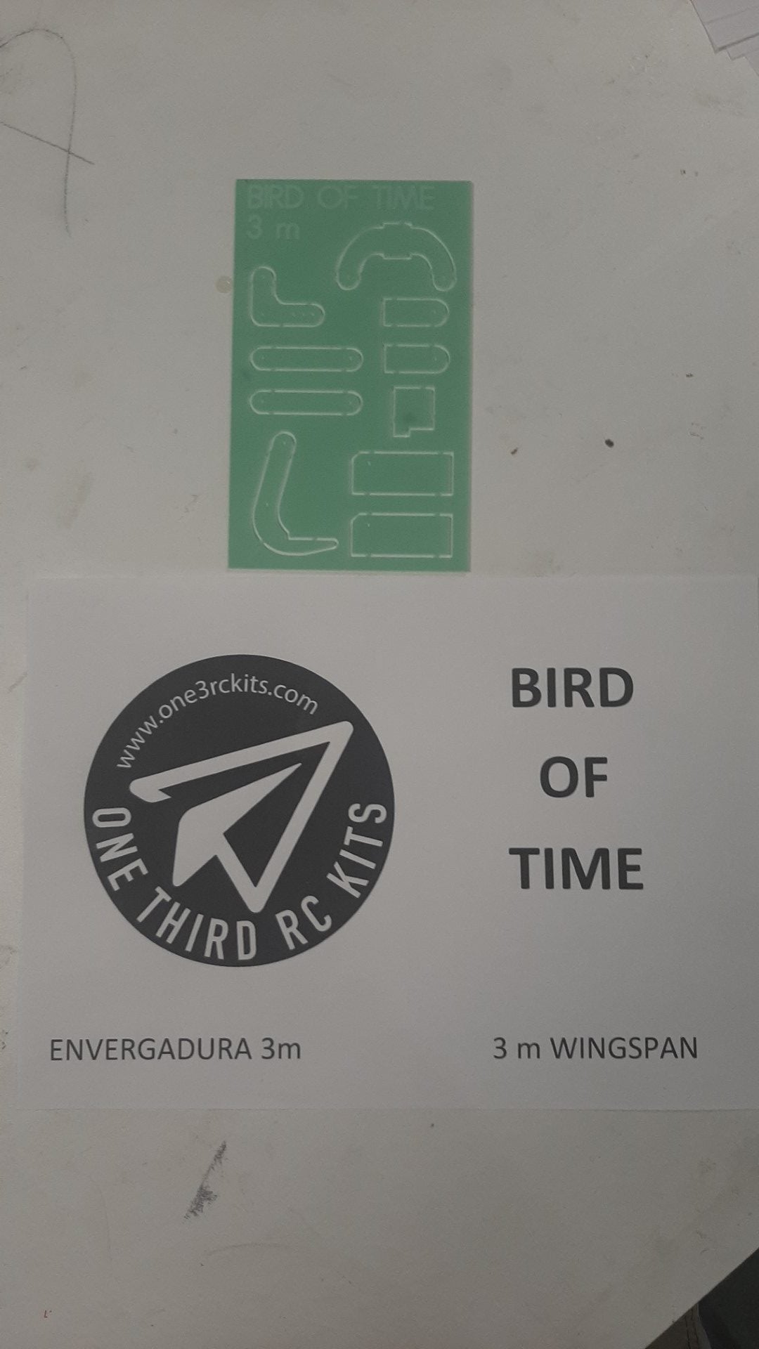 BIRD of TIME PRO 3m WINGSPAN