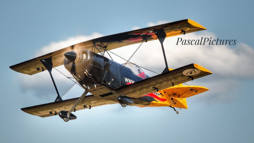 PITTS ARROW PRO 1/2 scale