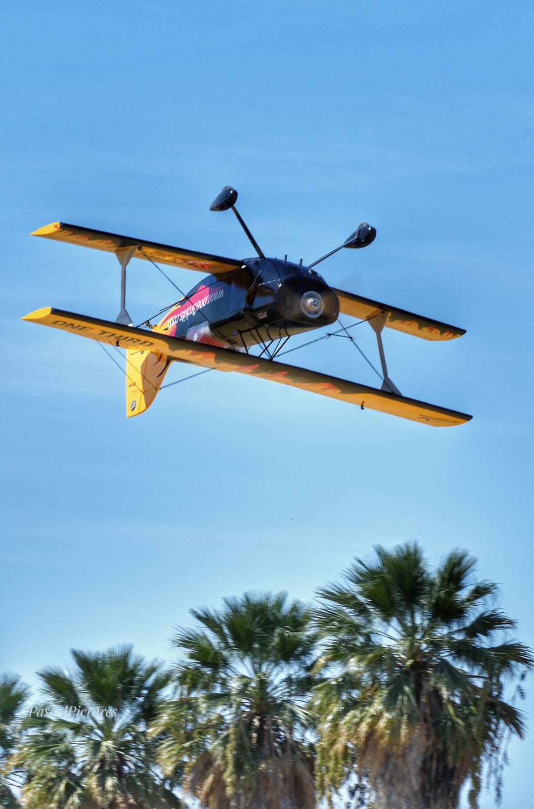 PITTS ARROW PRO 1/2 scale