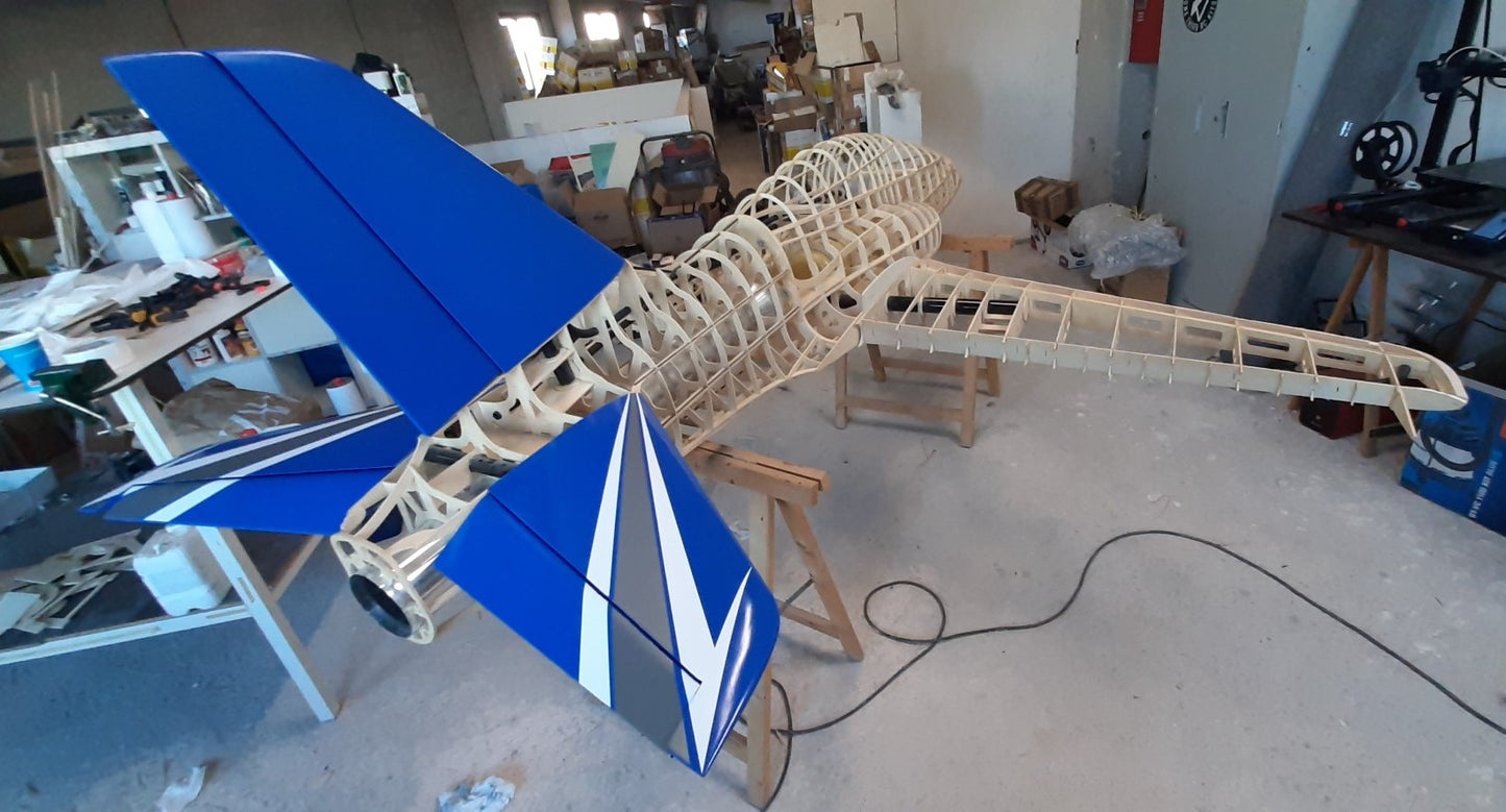 PITTS ARROW PRO 1/2 scale