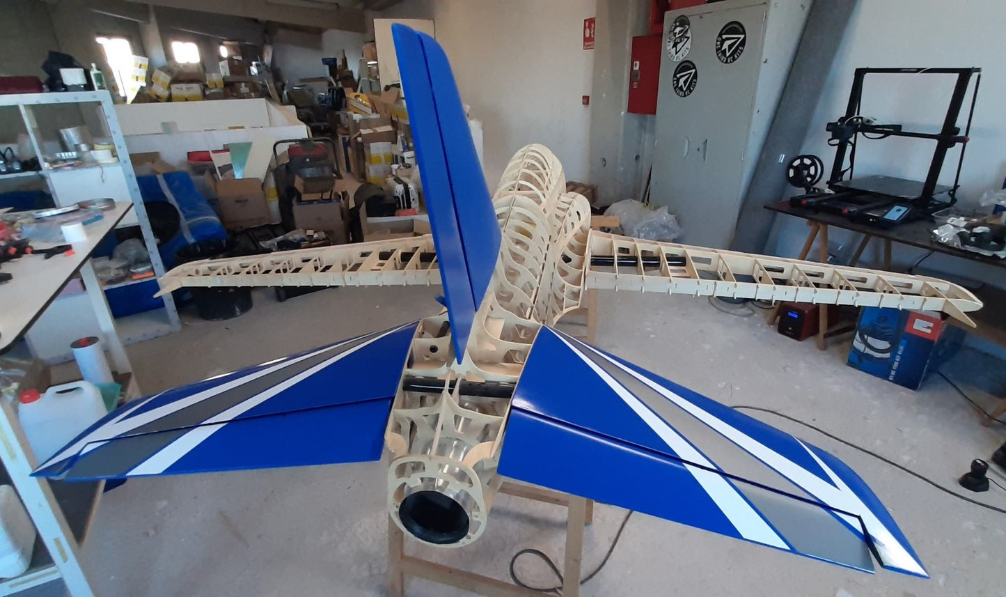 PITTS ARROW PRO 1/2 scale