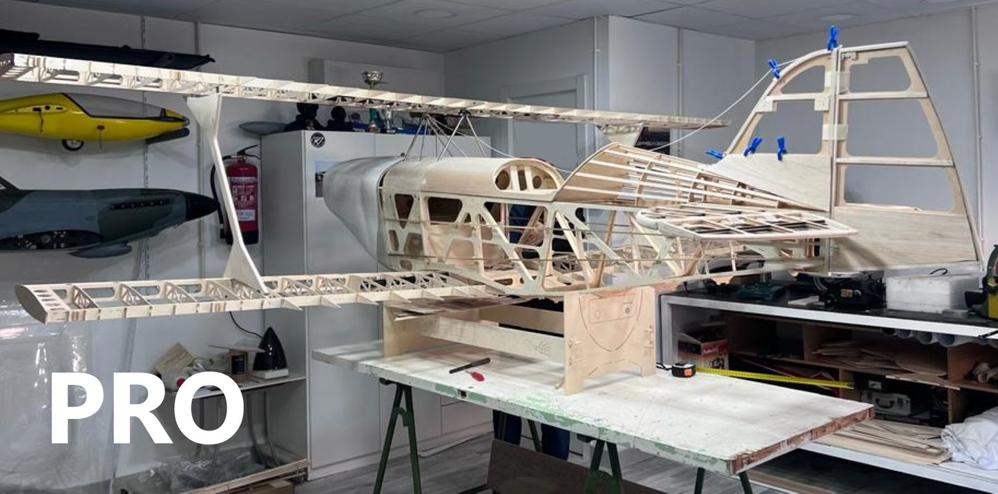 PITTS ARROW PRO 1/2 scale