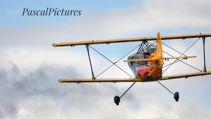 PITTS S2S TOP GUN escala 1/2