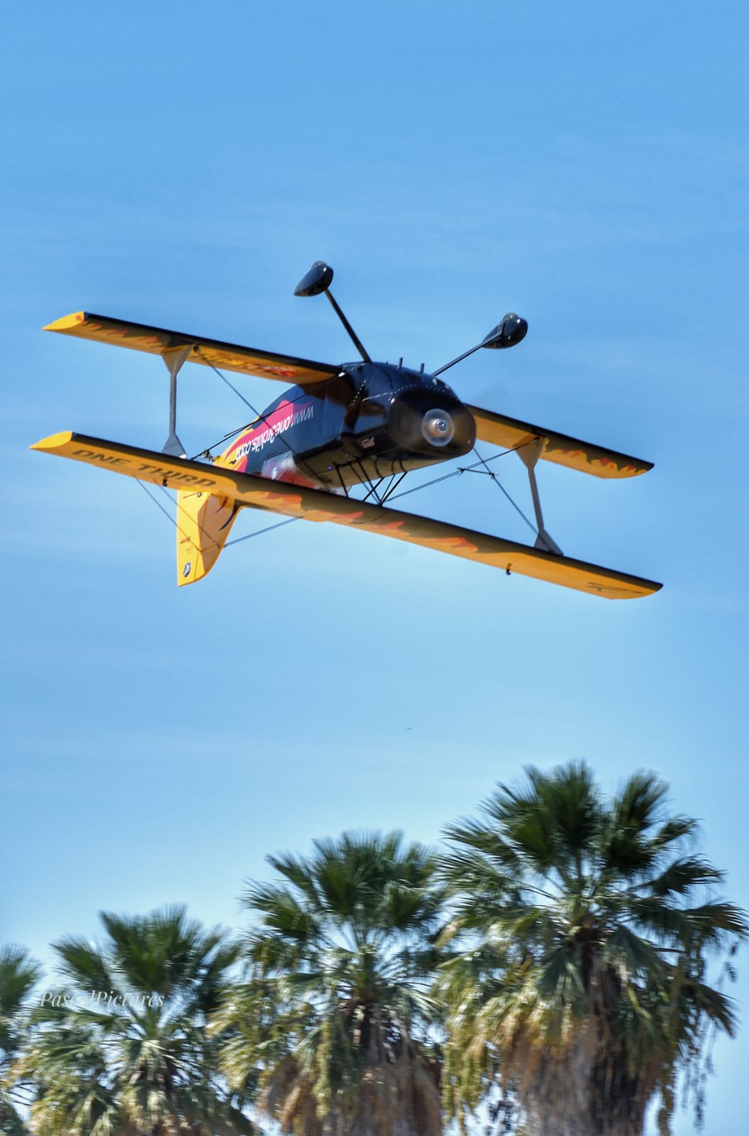 PITTS S2S TOP GUN escala 1/2